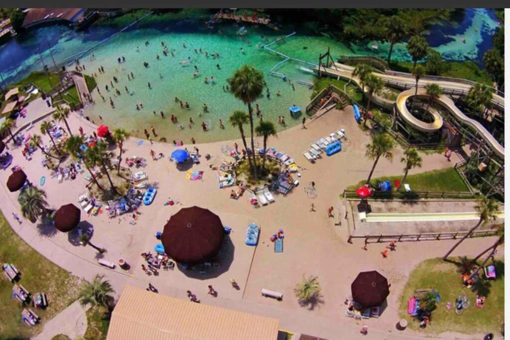 Manatee Oasis Weeki Wachee Family Fun Pool Home Spring Hill Kültér fotó