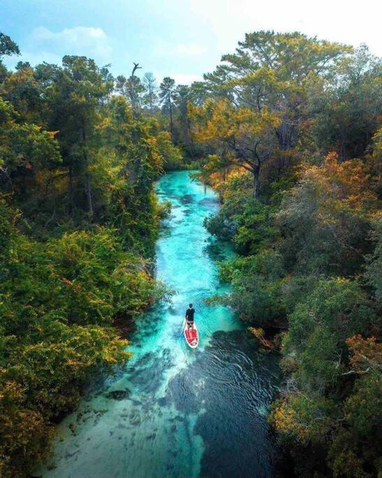 Manatee Oasis Weeki Wachee Family Fun Pool Home Spring Hill Kültér fotó