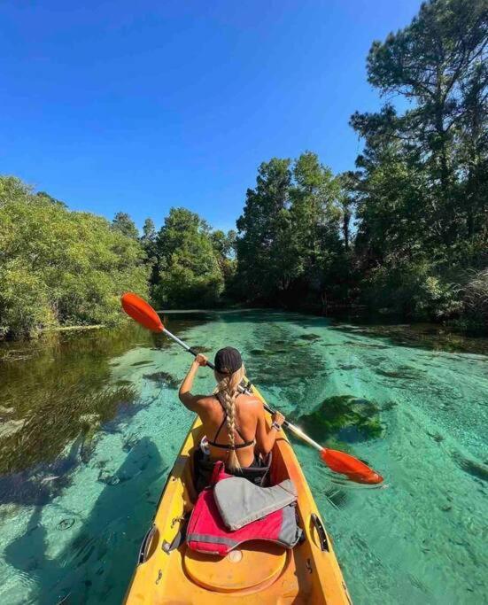 Manatee Oasis Weeki Wachee Family Fun Pool Home Spring Hill Kültér fotó
